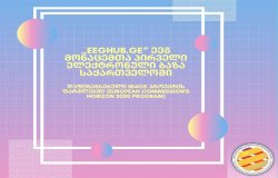 „EEGHUB.GE“ ეეგ მონაცემთა პირველი ელექტრონული ბაზა საქართველოში