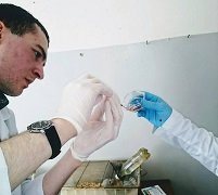 სტუდენტური კვლევები ექსპერიმენტული ბიომედიცინის ცენტრში